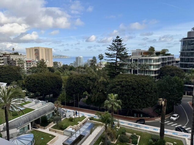 Appartement luxueusement rénové avec une vue magnifique