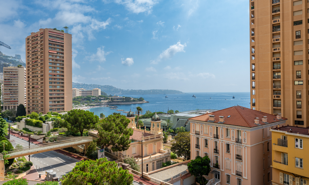 Appartement luxueusement rénové avec vue sur la mer - 2/14