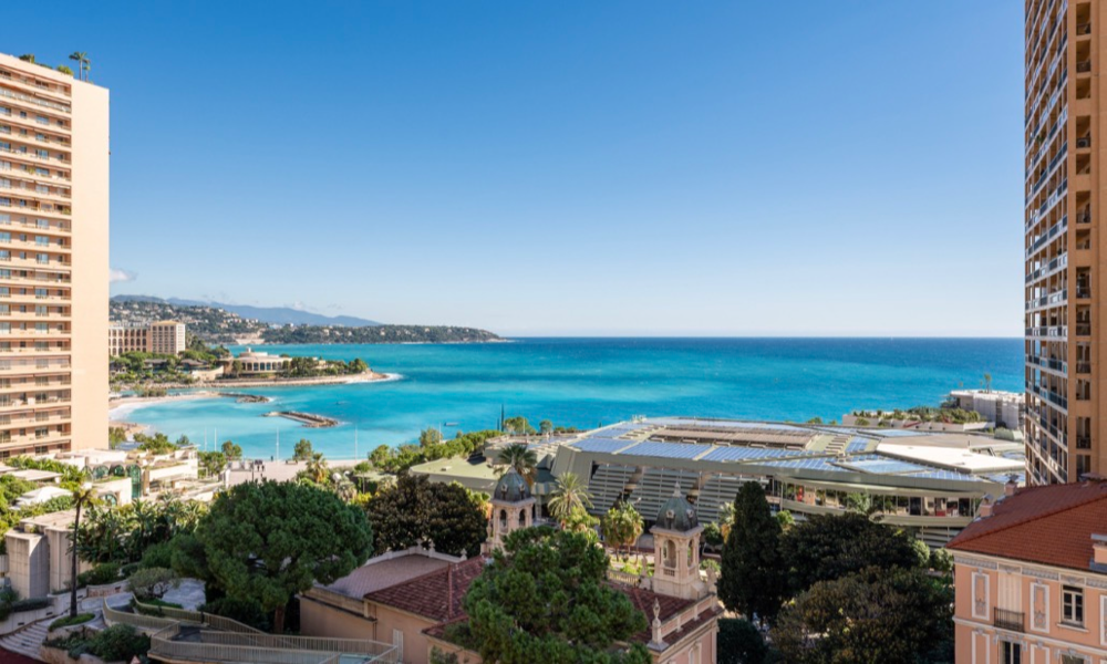 Appartamento lussuosamente ristrutturato - 1/1