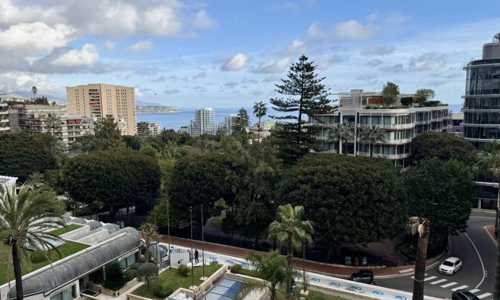 Appartement luxueusement rénové avec une vue magnifique - 1/11