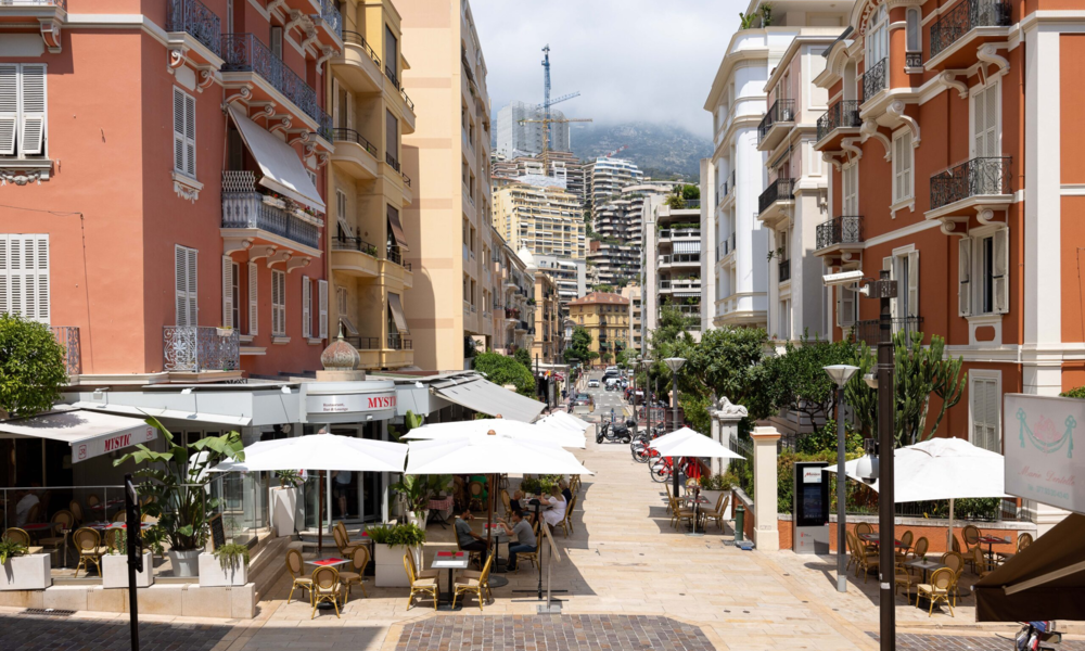 Duplex - Usage mixte - 10/10