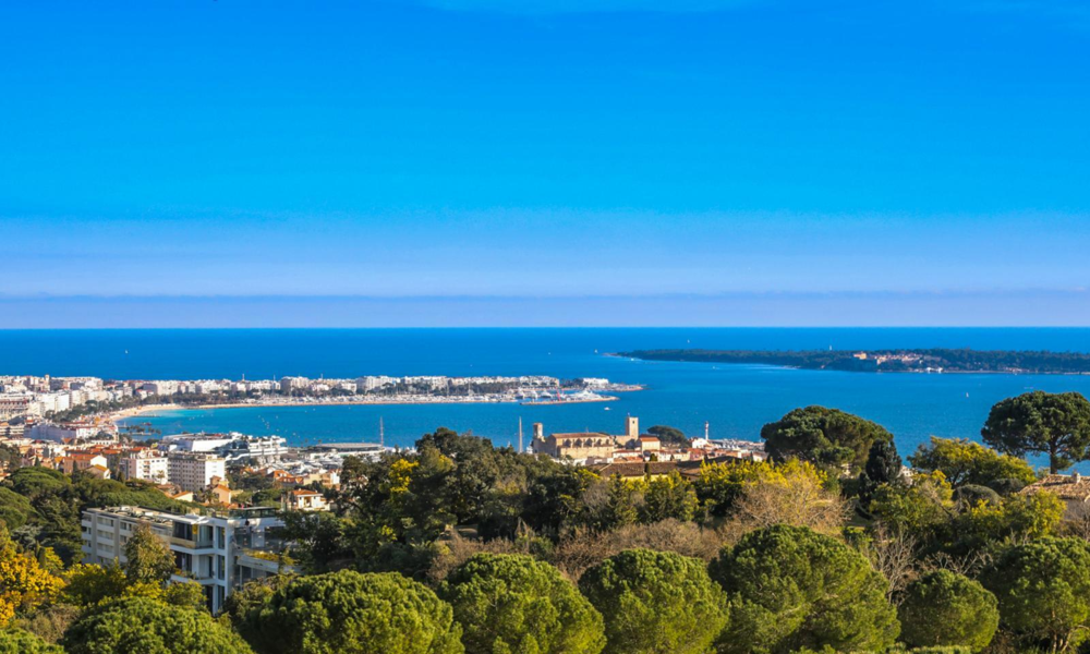 Villa exceptionnelle actuellement en rénovation à Cannes - 1/1