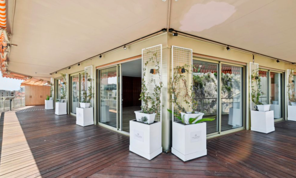 Appartement de 3 chambres avec vue sur F1 et Port Hercule - 4/18