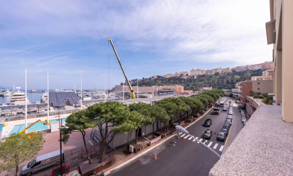 Appartement 1 chambre avec vue sur le port d’Hercules et F1 - 2/19