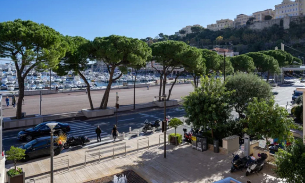 Magnifique appartement surplombant Port Hercules et le circuit de Formule 1 - 1/13