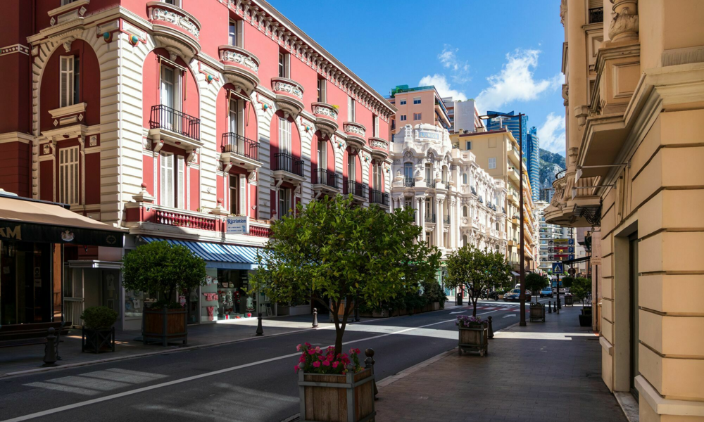 Studio neuf et moderne - 3/3